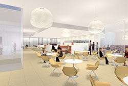 Lexus Cafe